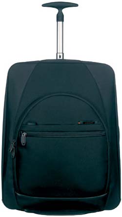 - Samsonite D31*055