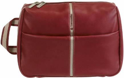 - Samsonite A43*029