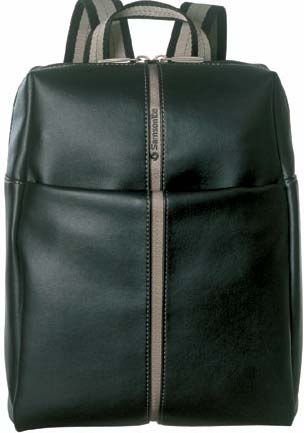  Samsonite A43*031